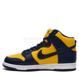 Nike Dunk Nike High Michigan (2020)